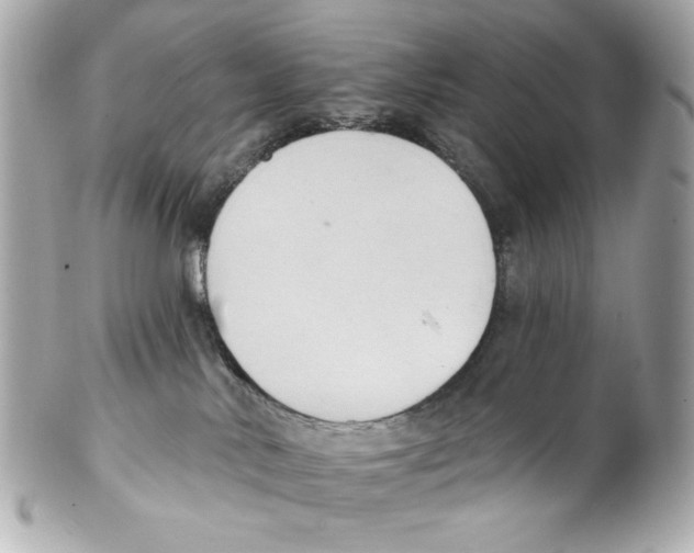 X0000102040042200808151416