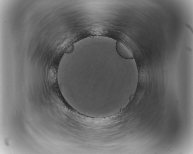 X0000102040043200808151416