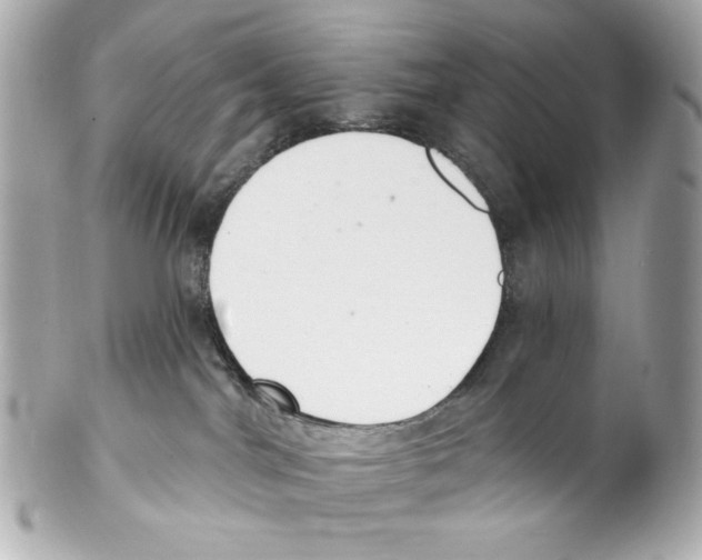 X0000102040044200808151416