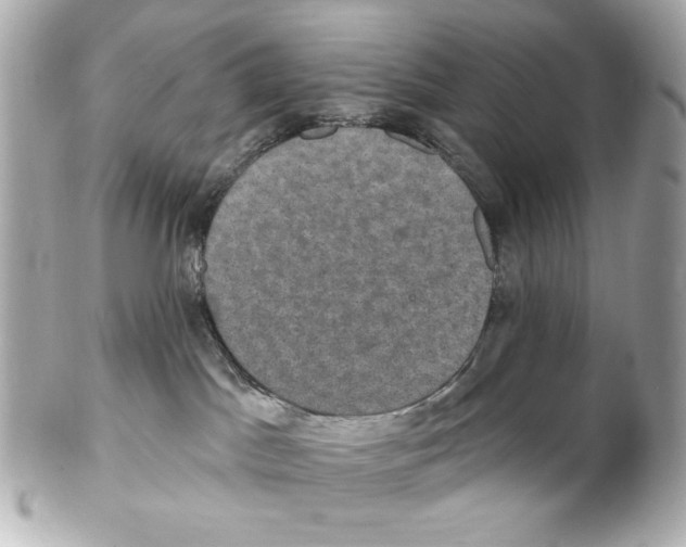 X0000102040045200808151416