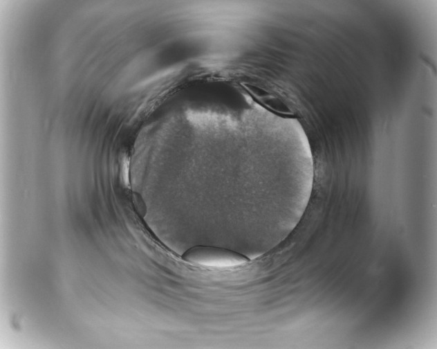 X0000102040046200808151416