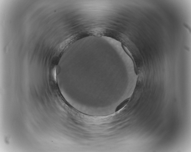 X0000102040047200808151416