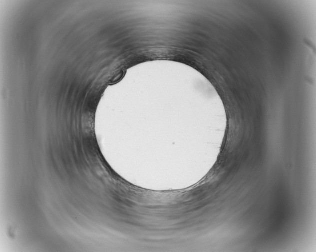 X0000102040048200808151416
