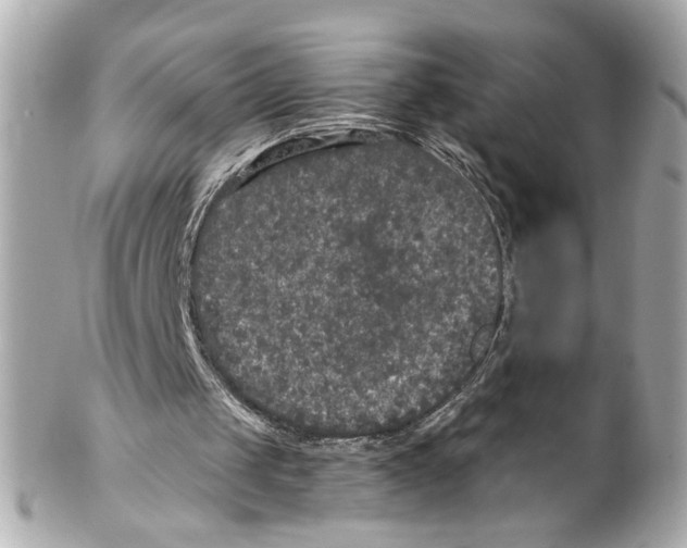X0000102040049200808151416