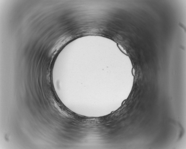 X0000102040050200808151416