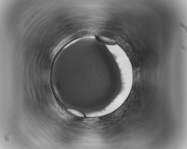 X0000102040051200808151416