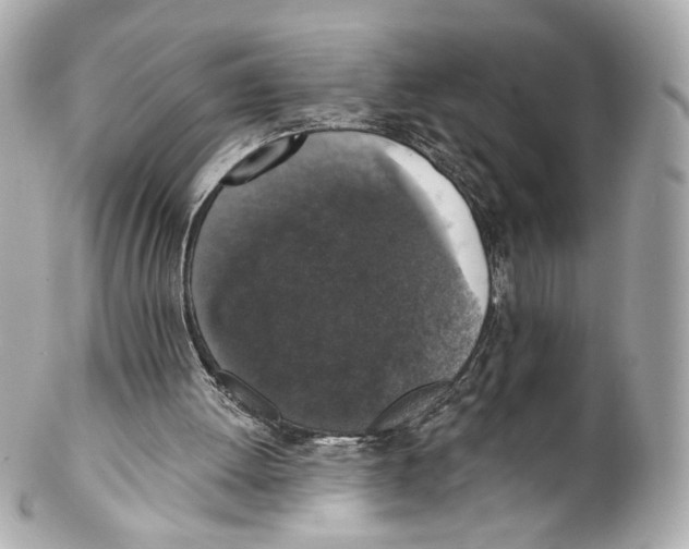 X0000102040052200808151416