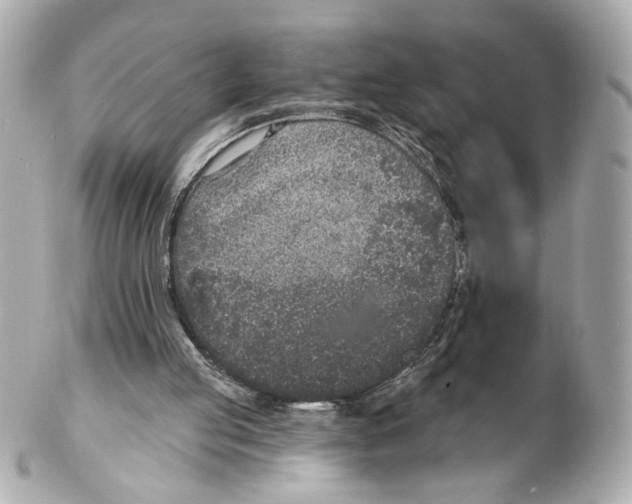 X0000102040053200808151416