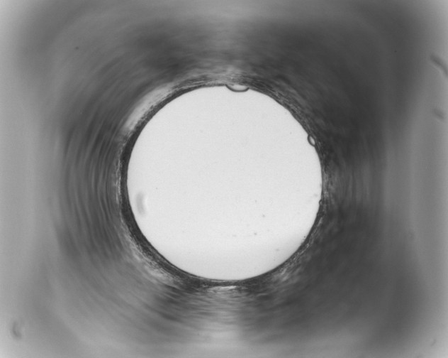 X0000102040054200808151416