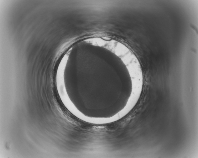 X0000102040055200808151416