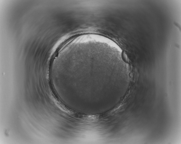 X0000102040056200808151416