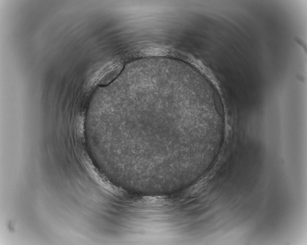 X0000102040057200808151416