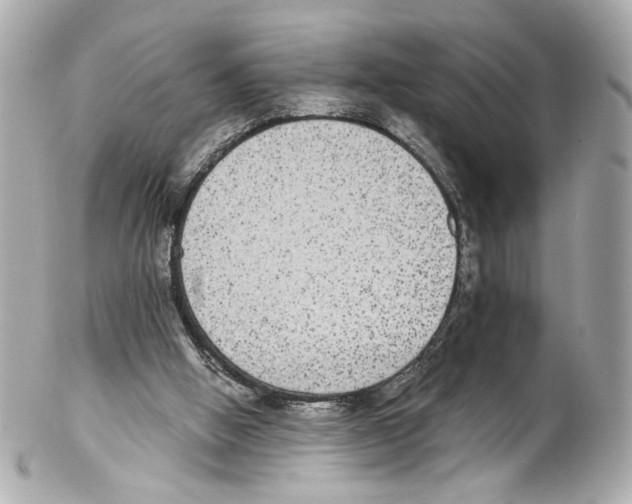 X0000102040058200808151416