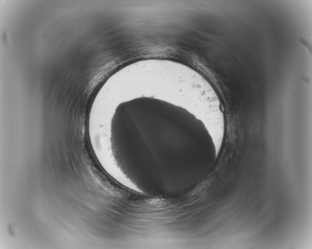 X0000102040059200808151416