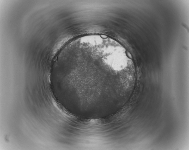 X0000102040060200808151416