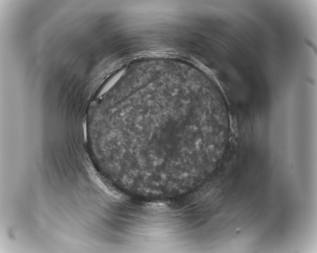 X0000102040061200808151416