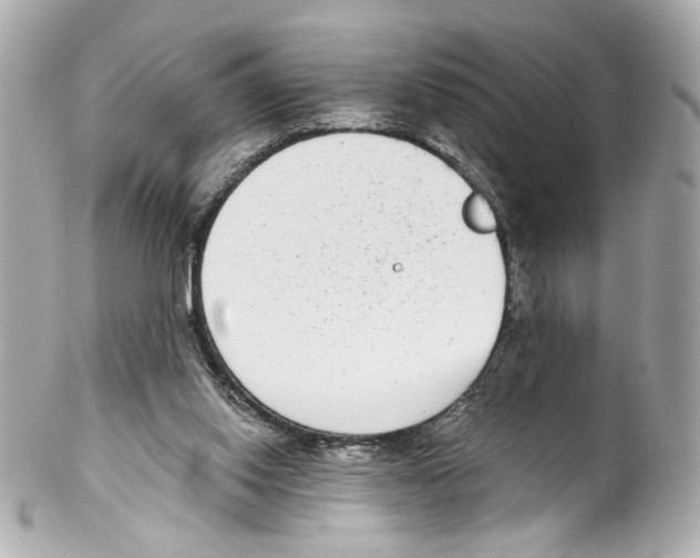 X0000102040062200808151416
