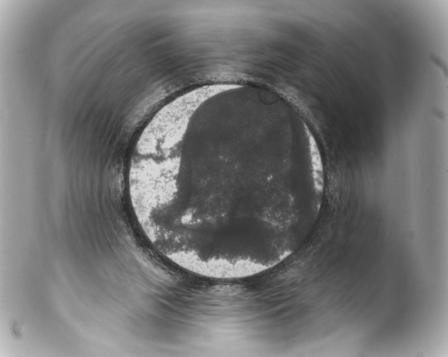 X0000102040063200808151416