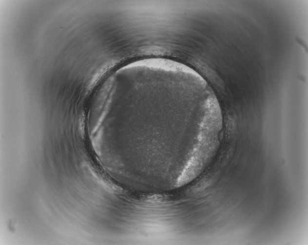 X0000102040064200808151416