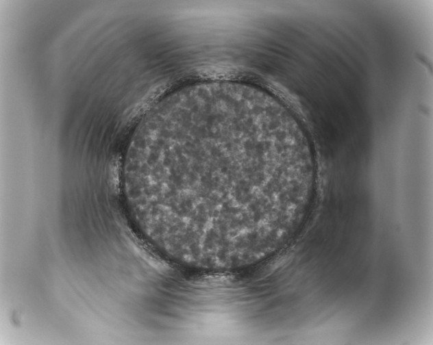 X0000102040065200808151416