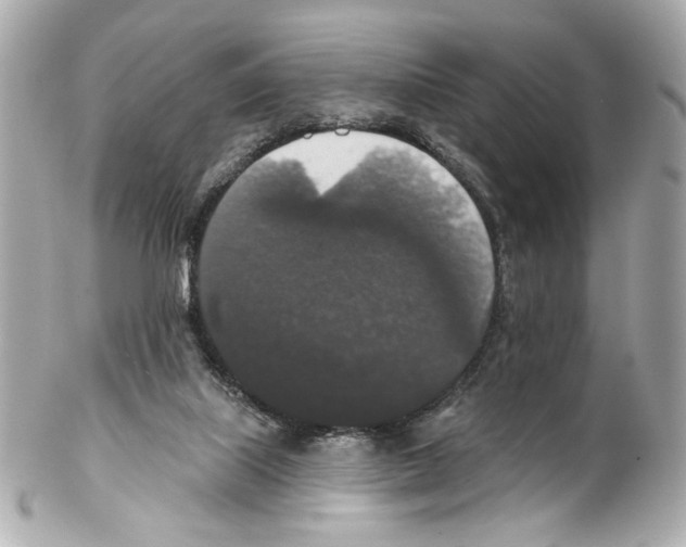 X0000102040067200808151416