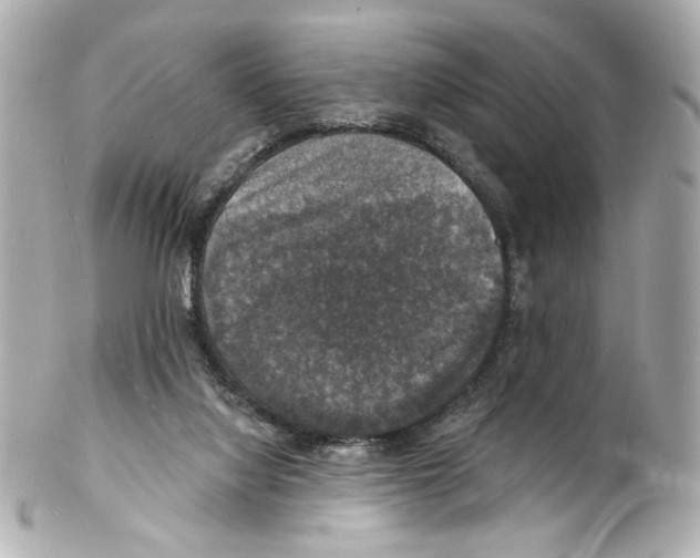 X0000102040068200808151416