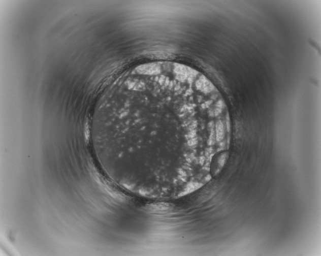 X0000102040069200808151416