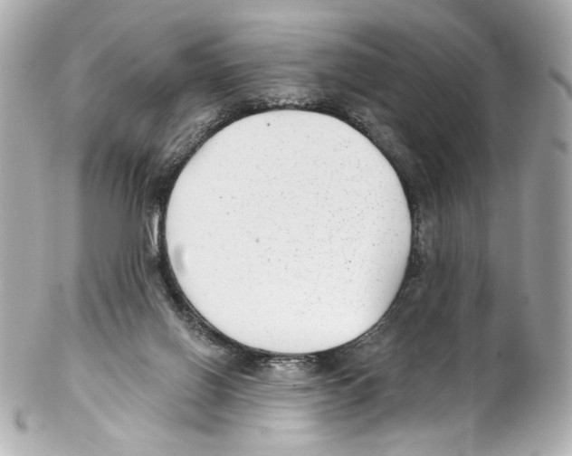 X0000102040070200808151416