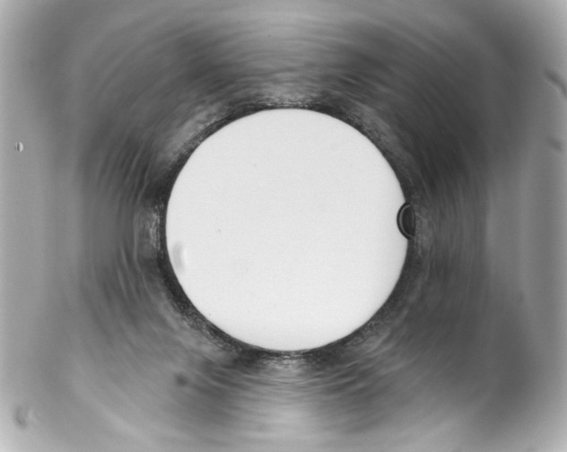 X0000102040071200808151416