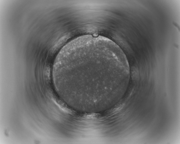 X0000102040072200808151416