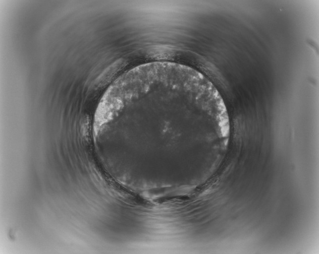 X0000102040073200808151416