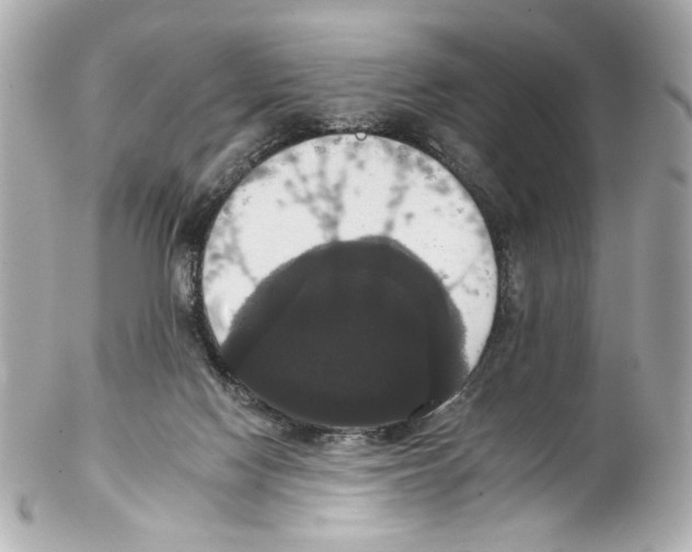 X0000102040074200808151416