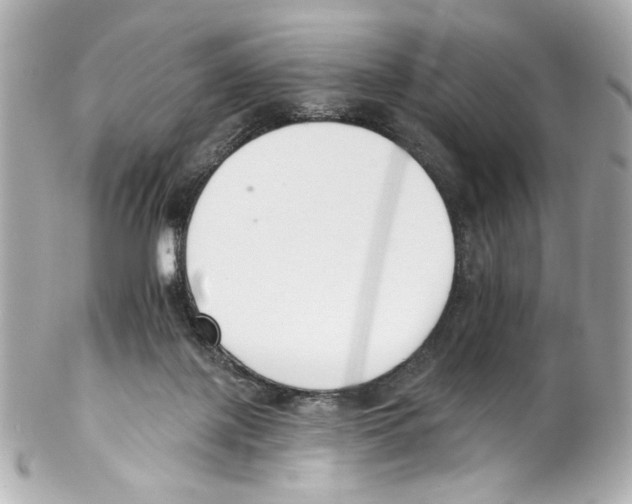 X0000102040075200808151416