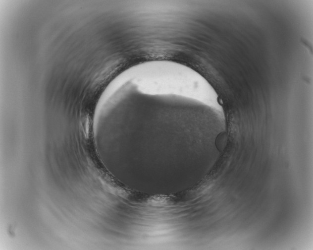 X0000102040076200808151416