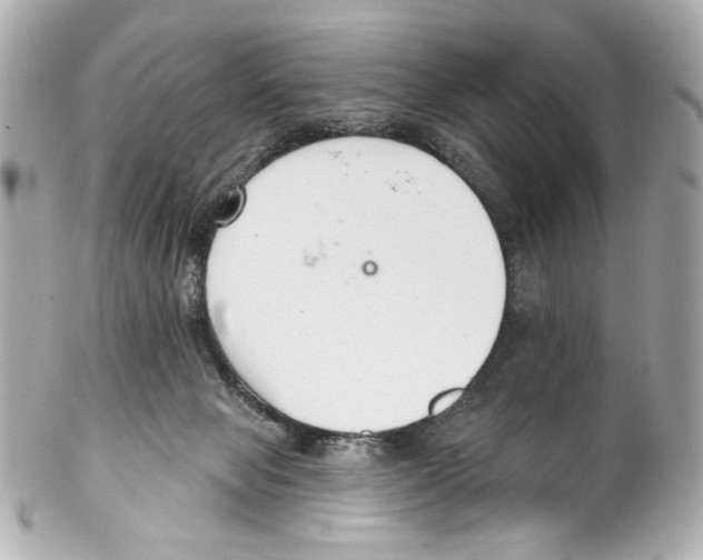 X0000102040077200808151416