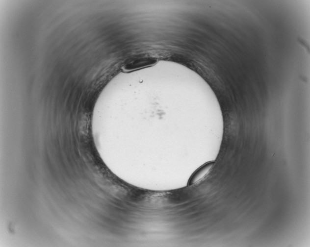 X0000102040078200808151416