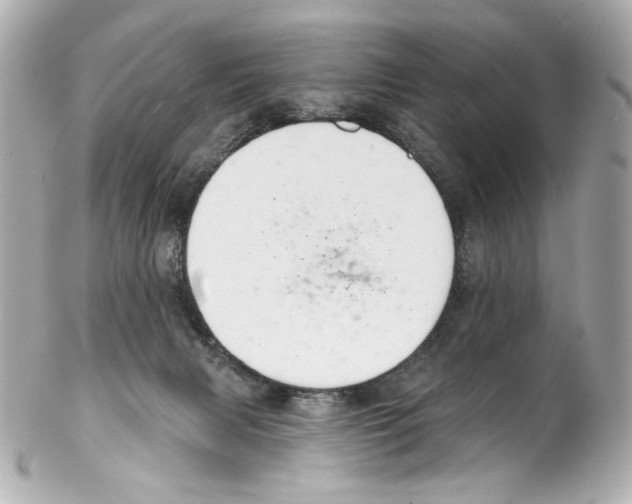 X0000102040079200808151416
