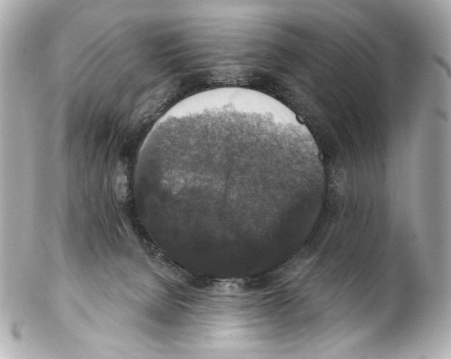 X0000102040080200808151416