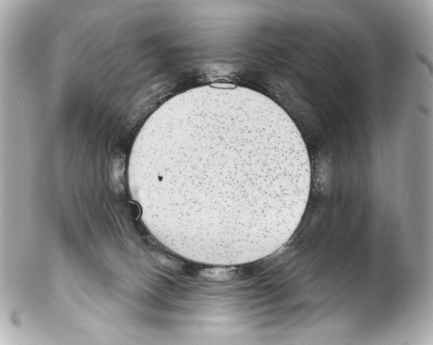 X0000102040082200808151416