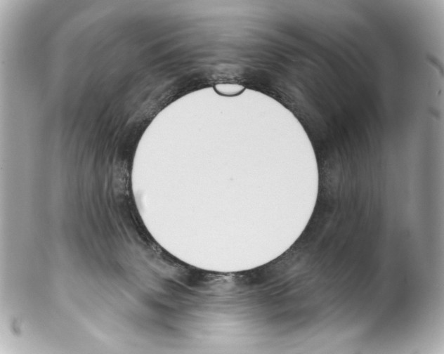 X0000102040083200808151416