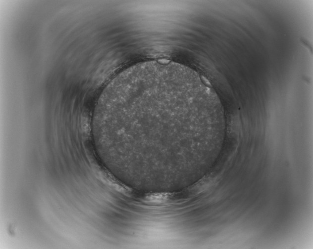 X0000102040084200808151416