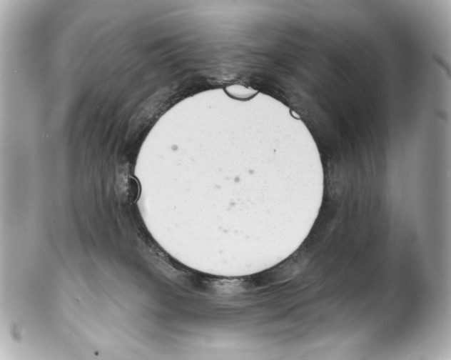 X0000102040085200808151416