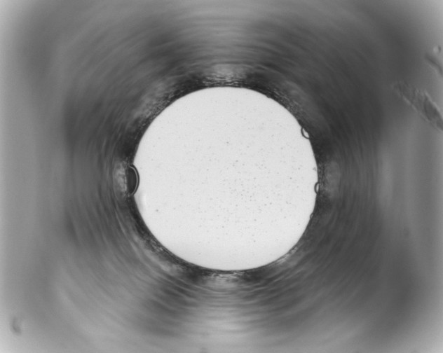 X0000102040086200808151416