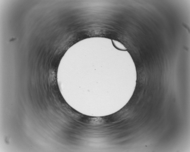 X0000102040087200808151416