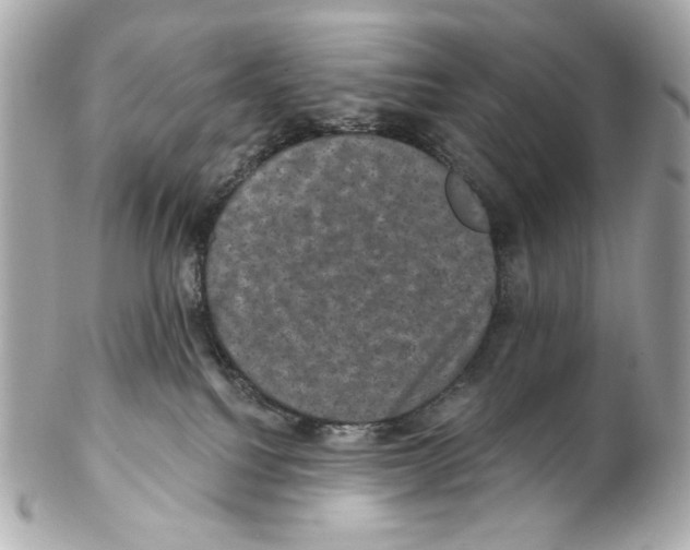 X0000102040088200808151416
