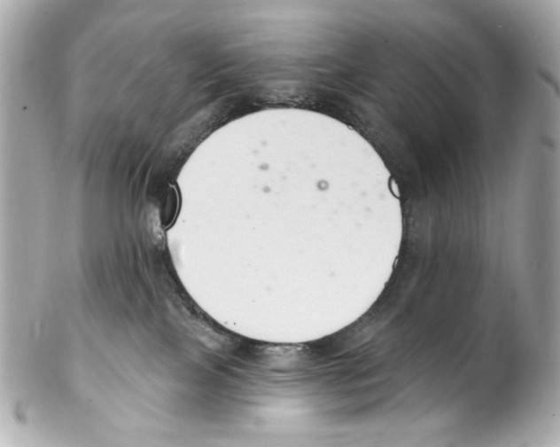 X0000102040089200808151416