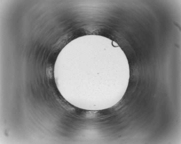 X0000102040090200808151416