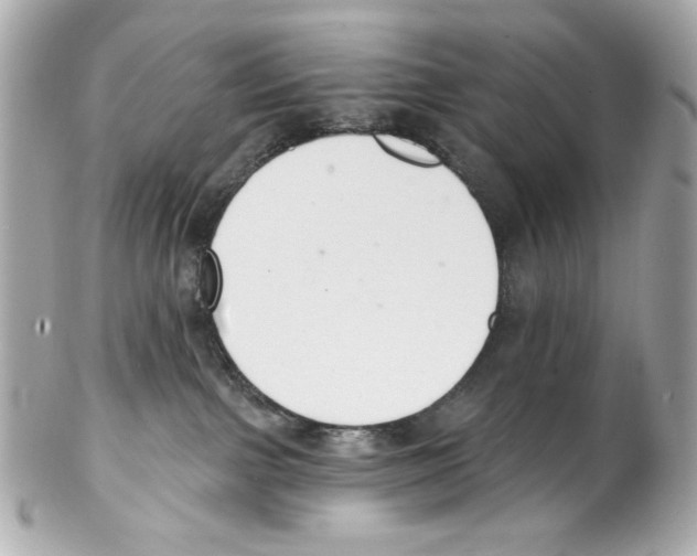 X0000102040091200808151416