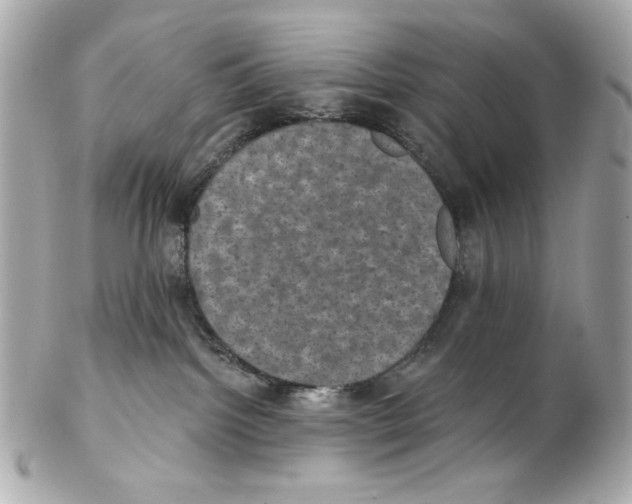 X0000102040092200808151416