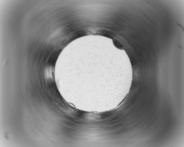 X0000102040094200808151416